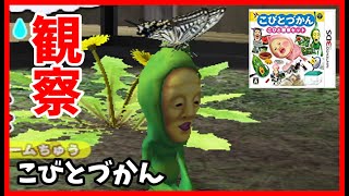 Dwarf Encyclopedia] Part 1: Find, catch, observe, and have fun