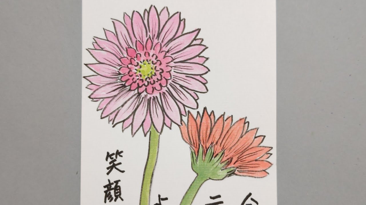 趣味の絵手紙 ガーベラ - YouTube