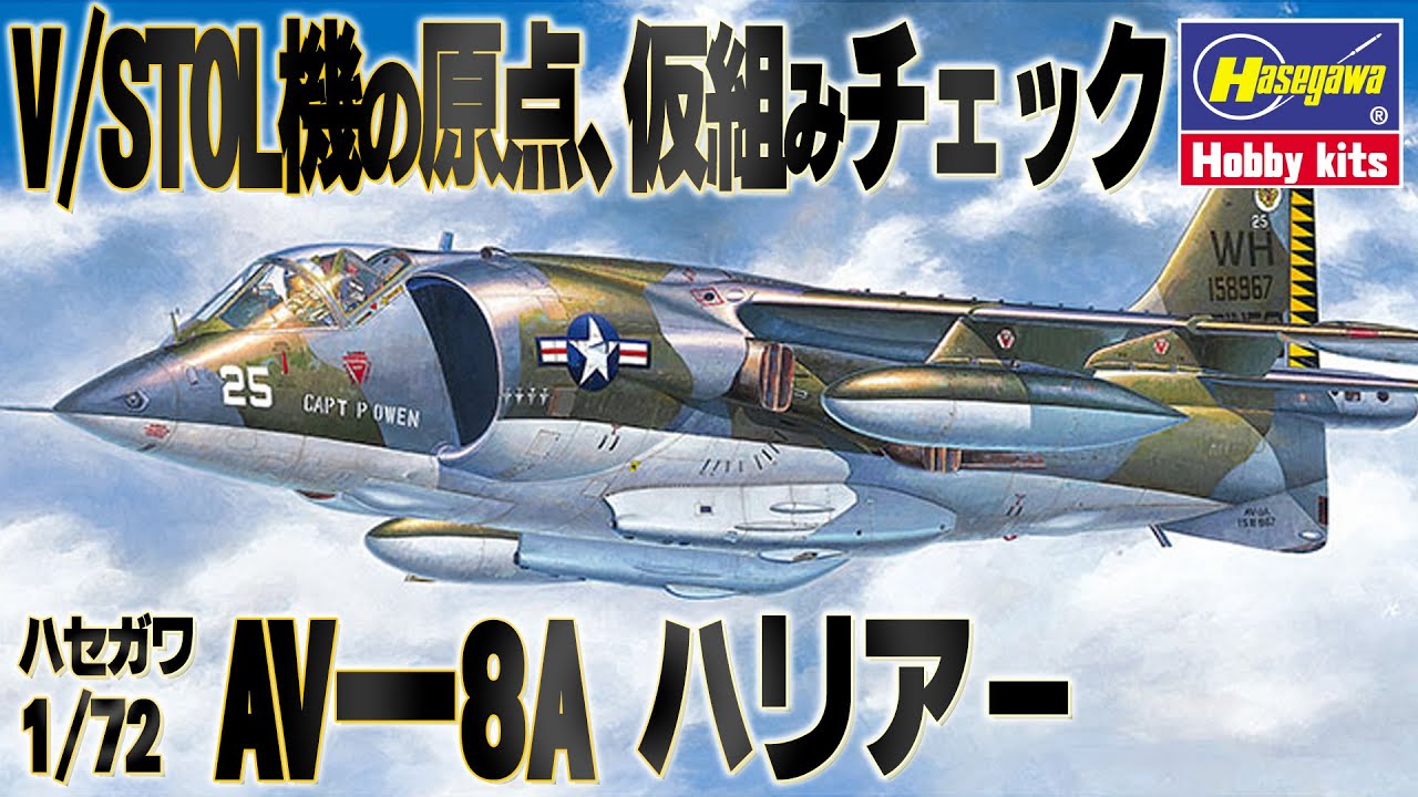 The Harrier STORY Peter E．Davies ハリアー戦闘機 The Harrier STORY