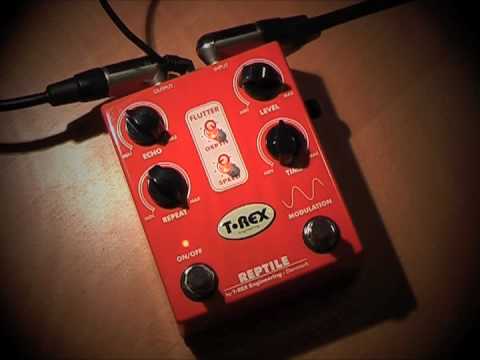 T Rex Reptile: Presented by Sadie - YouTube