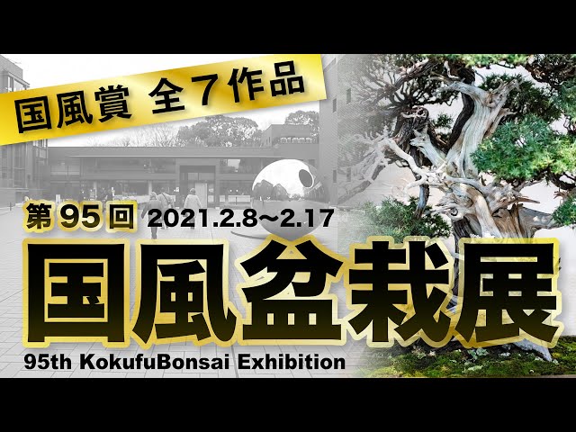 第95回 国風盆栽展 国風賞全7作品 95th Kokufu Bonsai Exhibition