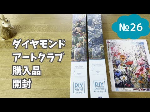 Diamond Art] Introducing Diamond Art Club purchases! - YouTube