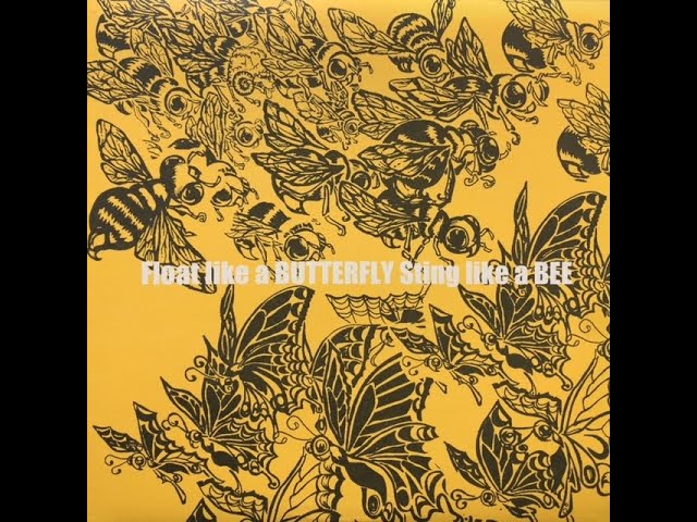 Soul Scream - 蜂と蝶 (Instrumental) - YouTube