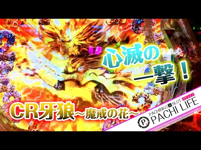 08.ガオガオ～～！黄金騎士とか！CR牙狼～魔戒ノ花XX～（ガロ）GARO