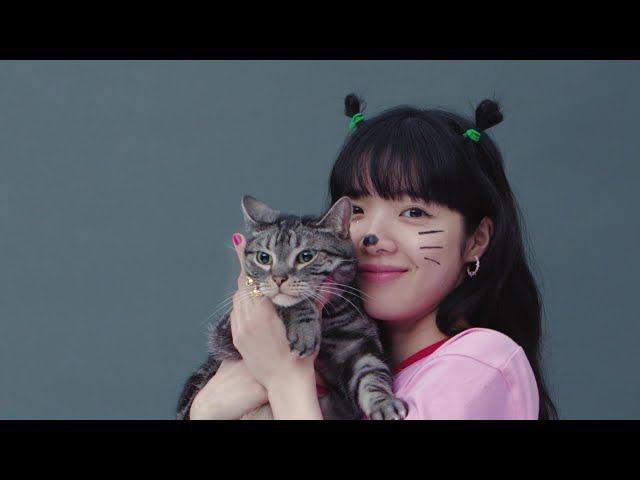 あいみょん - 猫にジェラシー【very short teaser】 - YouTube