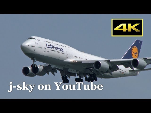 4K] Lufthansa Boeing 747-8 at Tokyo Haneda Airport / 羽田空港