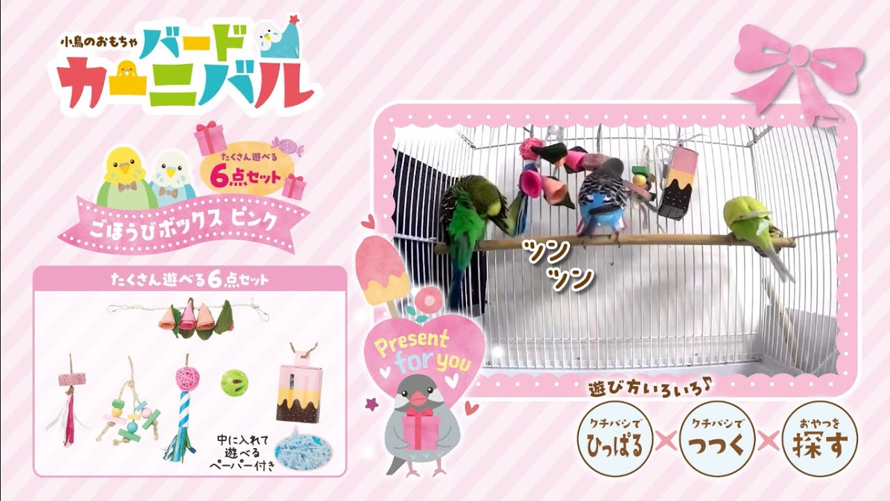 バードカーニバル ごほうびボックス ブルー MB‐402: 200｜業務用