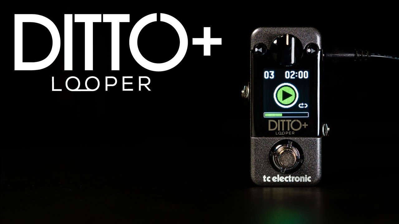 TC Electronic | Product | DITTO+ LOOPER