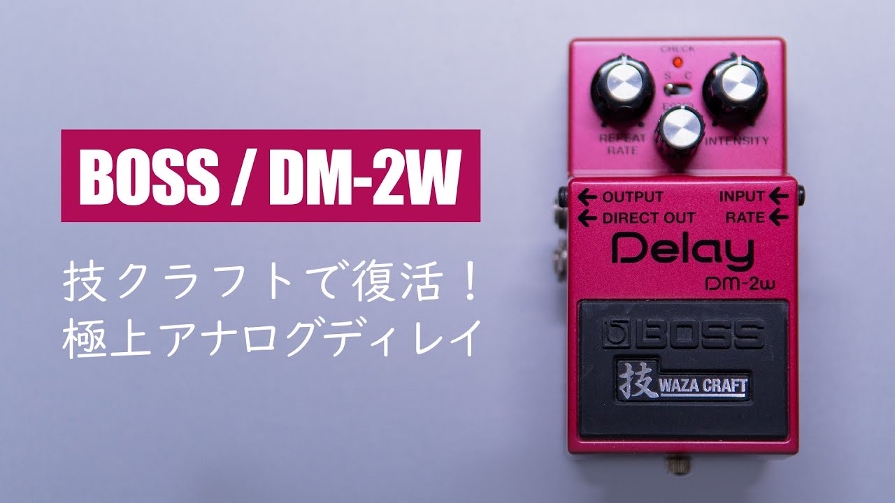 Introducing the Beloved Analog Delay Revived by Waza Craft / BOSS