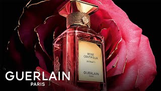 ゲラン】ローズ センティフォリア エクストレ 1（ティエリー・ワッサー