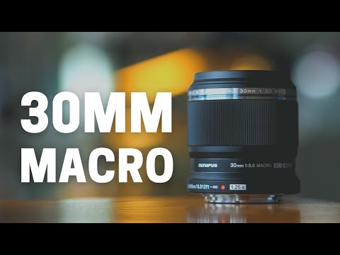 250% Magnification - M.Zuiko 30mm F3.5 Macro - YouTube