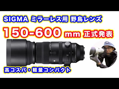 Official Announcement] SIGMA 150-600mm F5-6.3 DG DN OS | Sports