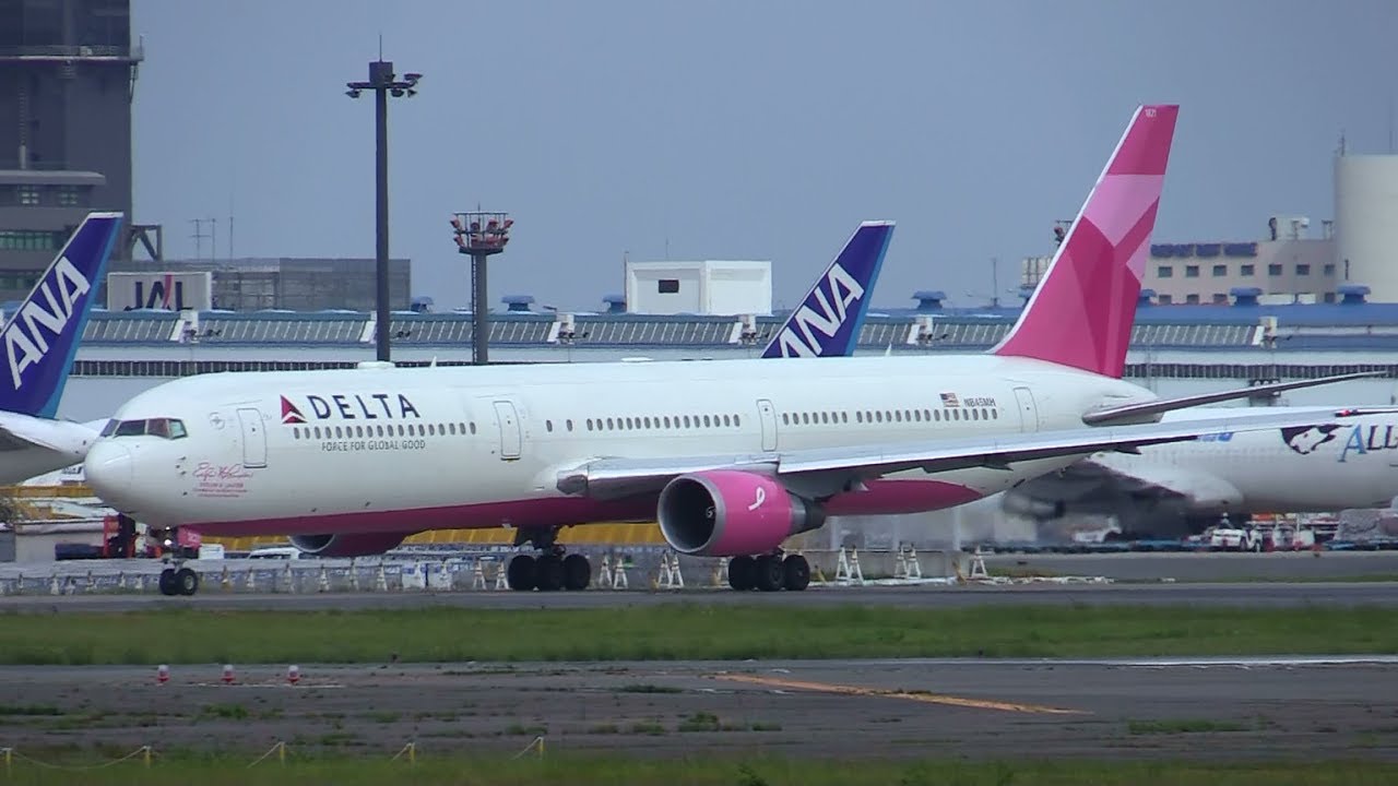 ✈✈デルタ航空の特別塗装機「ピンク・プレーン」 (Delta Air Lines