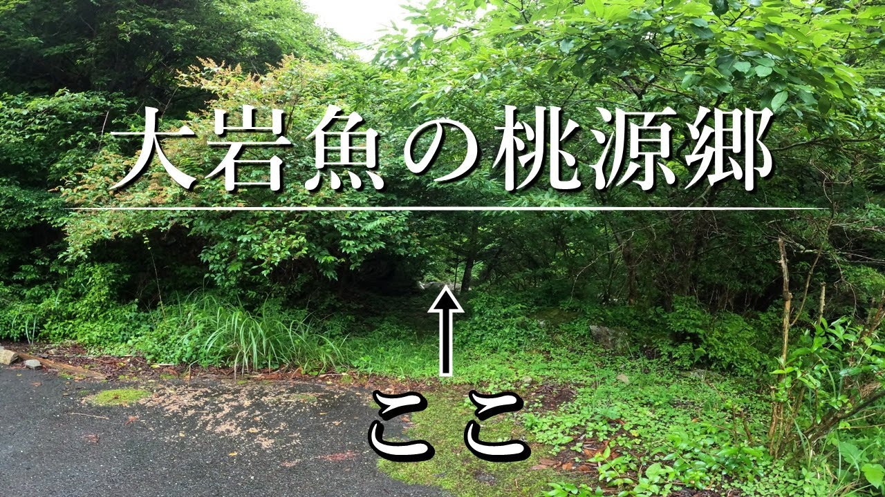 ▽希少 みちのく遊学'97 植野稔の山釣りシリーズ 渓流 釣り 八久和川