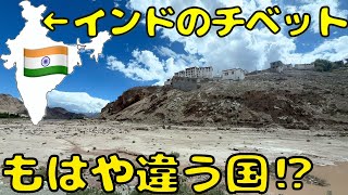 人のウザさ無し】標高は富士山並み！？インド北部🇮🇳のラダックに滞在
