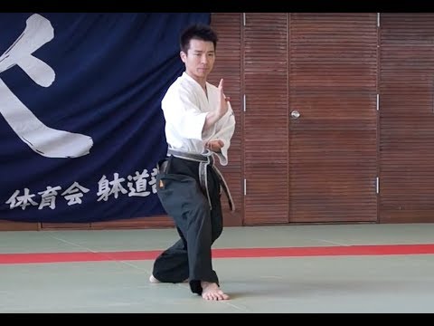 躰道 Taido 其の壱 - YouTube