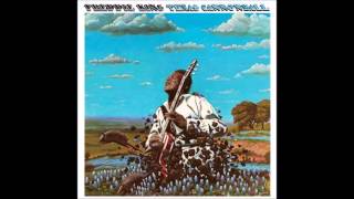 Freddie King - Texas Cannonball - -Freddie King