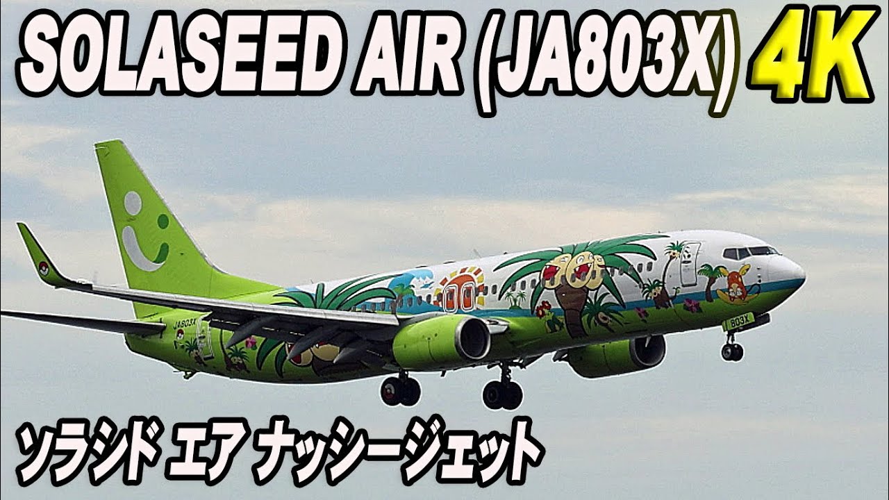 Solaseed Air ソラシド エア ナッシージェット（JA803X） Boeing 737