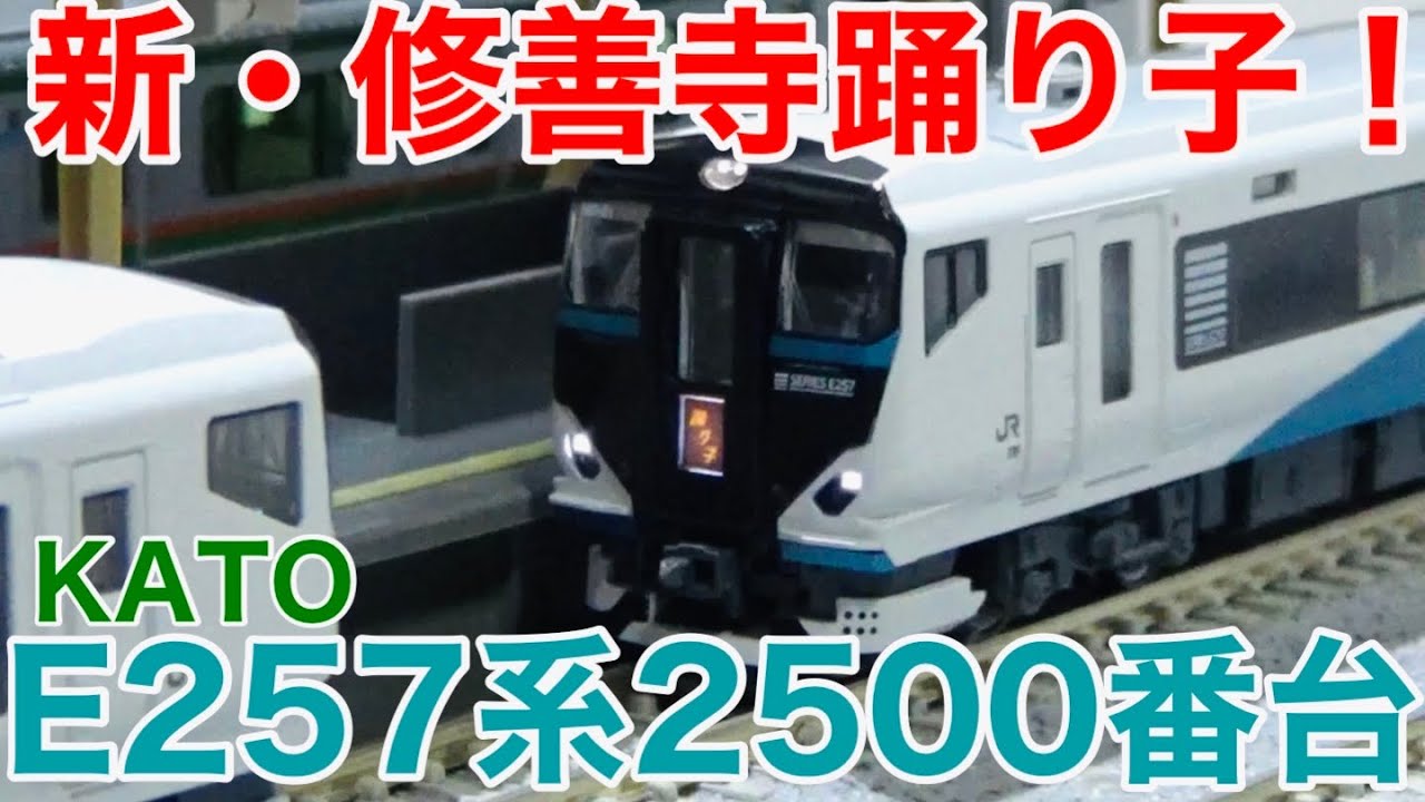 いずっぱこ直通】KATO E257系2500番台「踊り子」5両セット 開封