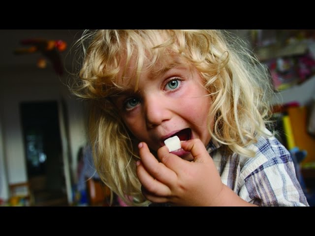 映画『シュガー・ブルース 家族で砂糖をやめたわけ』予告編 - YouTube