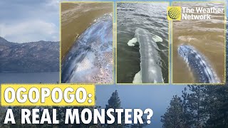 Ogopogo': Is The Legendary Monster in Okanagan Lake Real? - YouTube