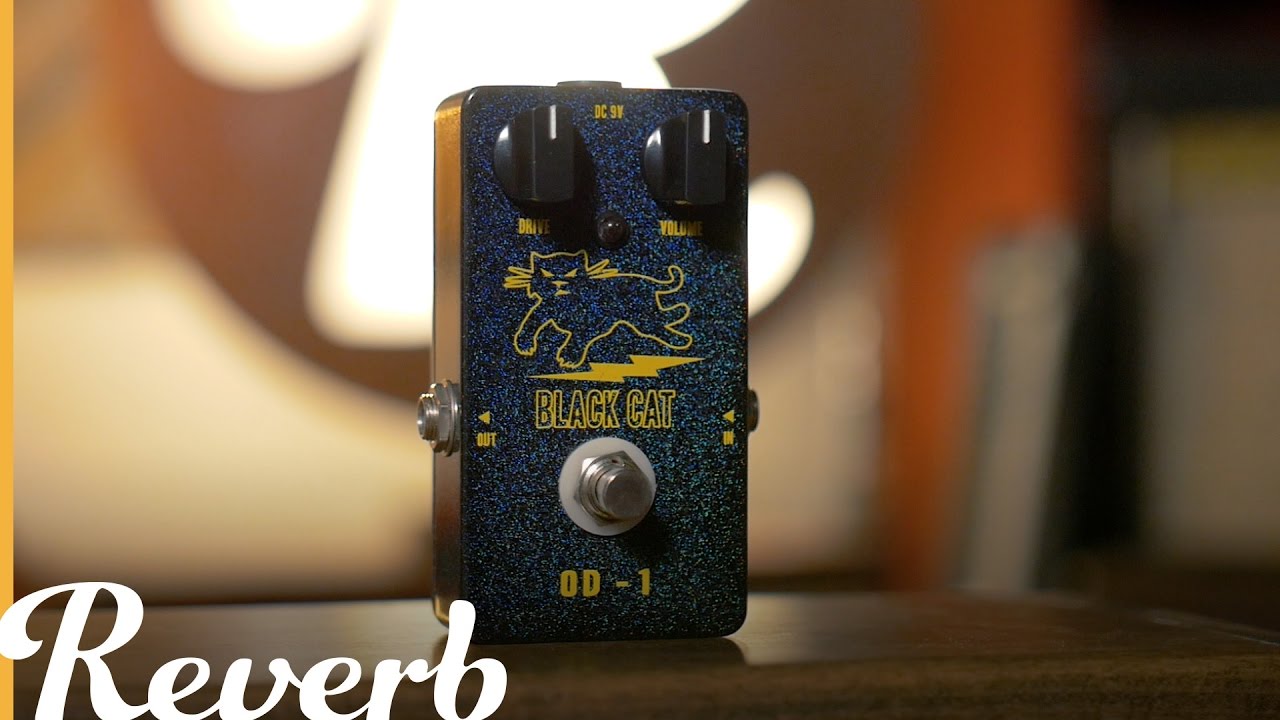 Black Cat OD-1 | Reverb Demo Video - YouTube
