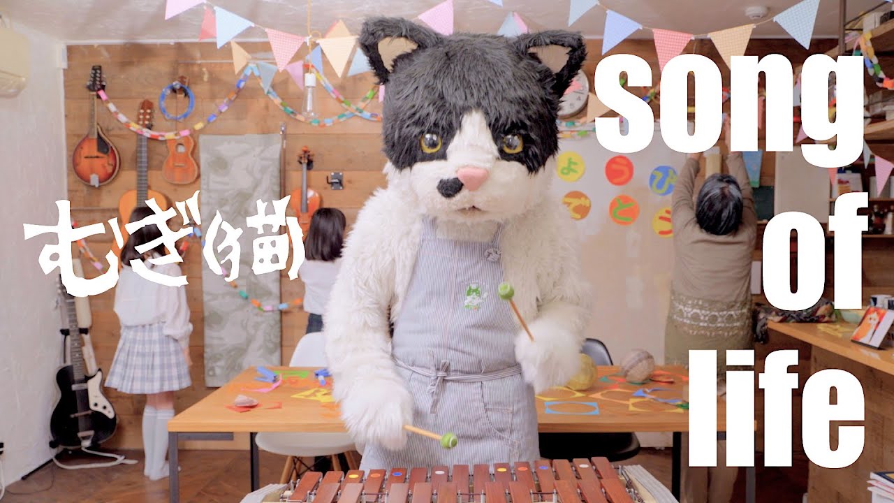 むぎ(猫) | スピードスターレコーズ