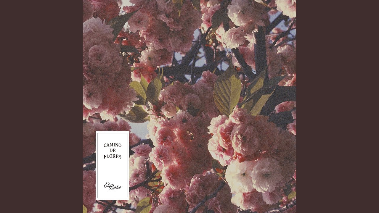 EL BUHO / CAMINO DE FLORES (LP)(DownTempo,Folkt