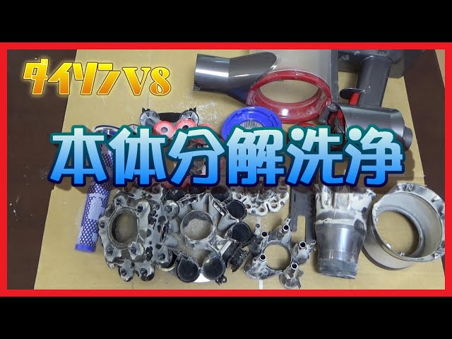 Viewer discretion advised] I disassembled and cleaned the Dyson