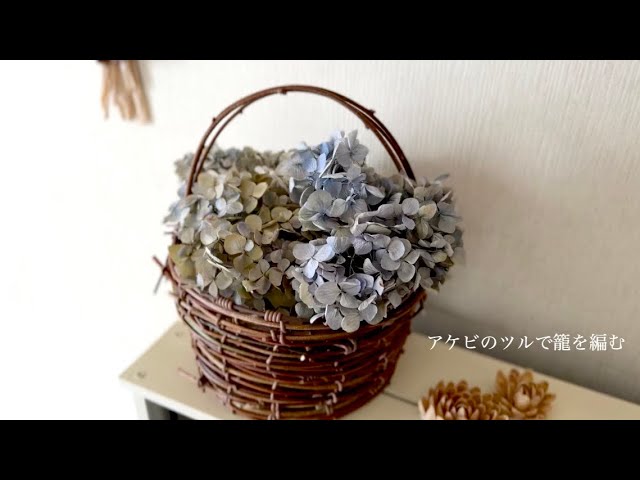 アケビのツルで花カゴ作り【DIY】【バスケット手作り】【ツルを編む