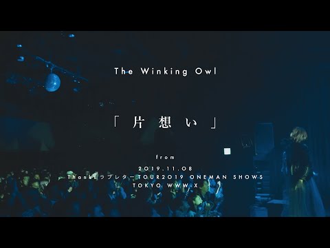 The Winking Owl - Music Video - - YouTube
