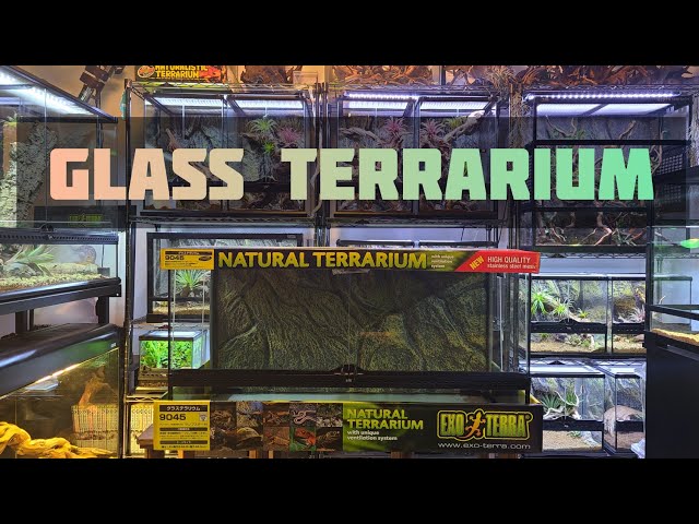 爬虫類ケージはやっぱりこれ！【GEXグラステラリウム9045】 - YouTube