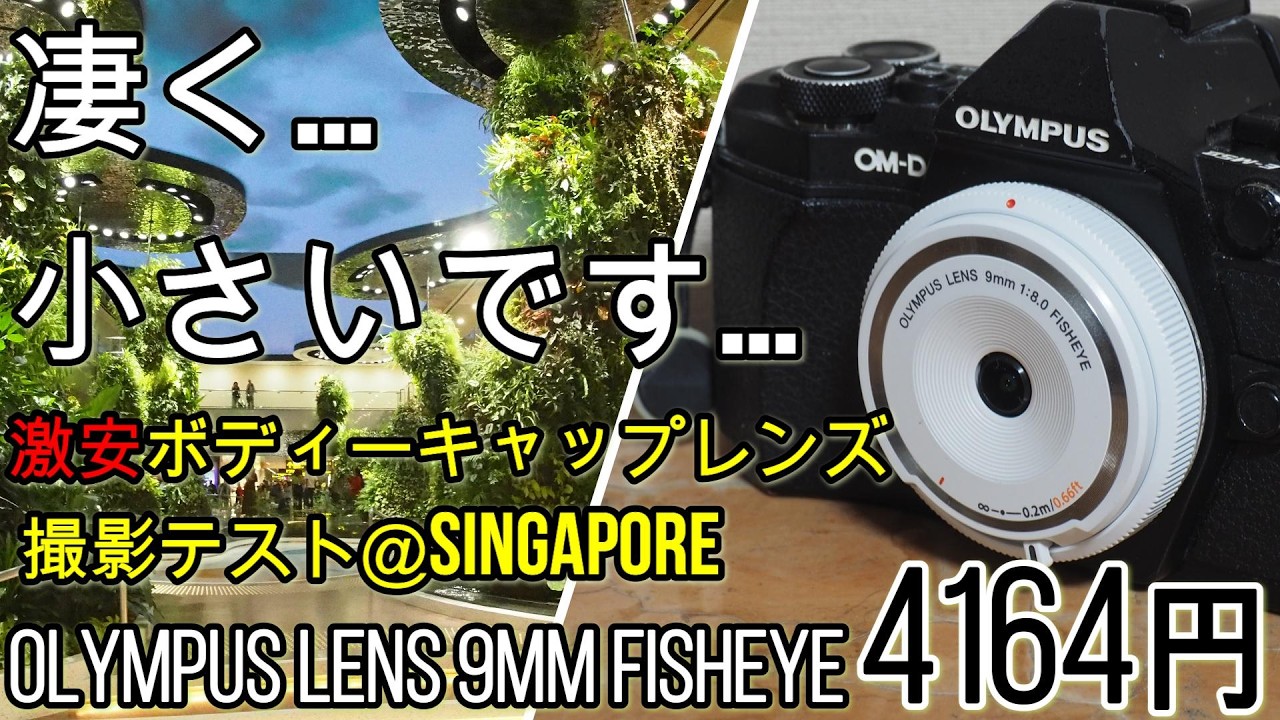 Body cap lenses are a thing! A super cheap 9mm FISHEYE ultra-wide