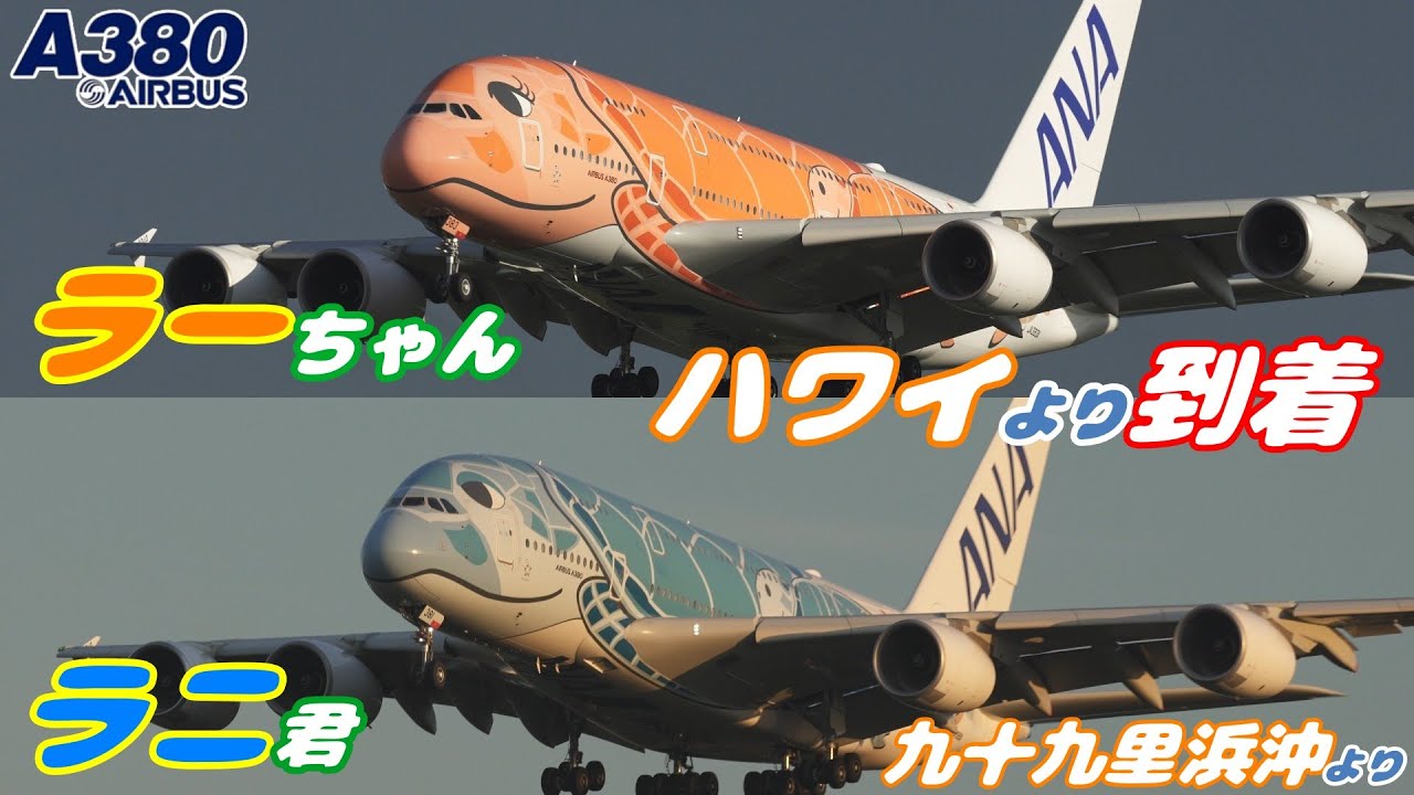 4K】成田空港 ひこうきの丘 ANA 超巨大旅客機 エアバスA380 フライング