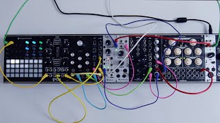 Shakmat Knight's Gallop - Eurorack Module on ModularGrid