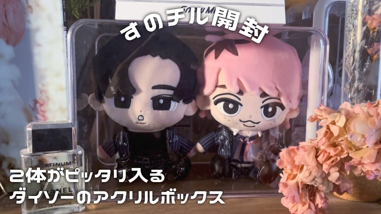 BIGすのチルが届いたので開封·͜·ᰔᩚダイソーで収納ケースも見つけまし