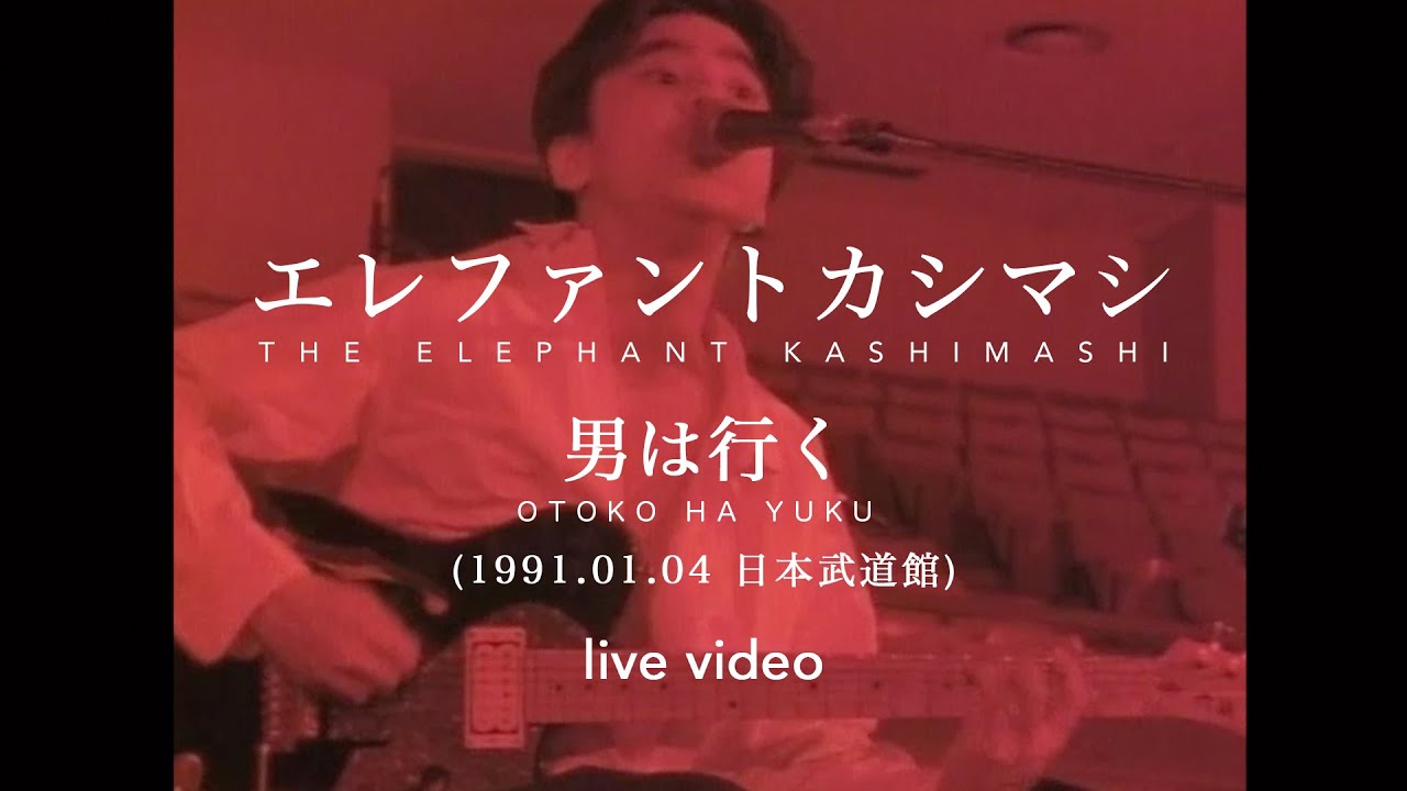 THE ELEPHANT KASHIMASHI 