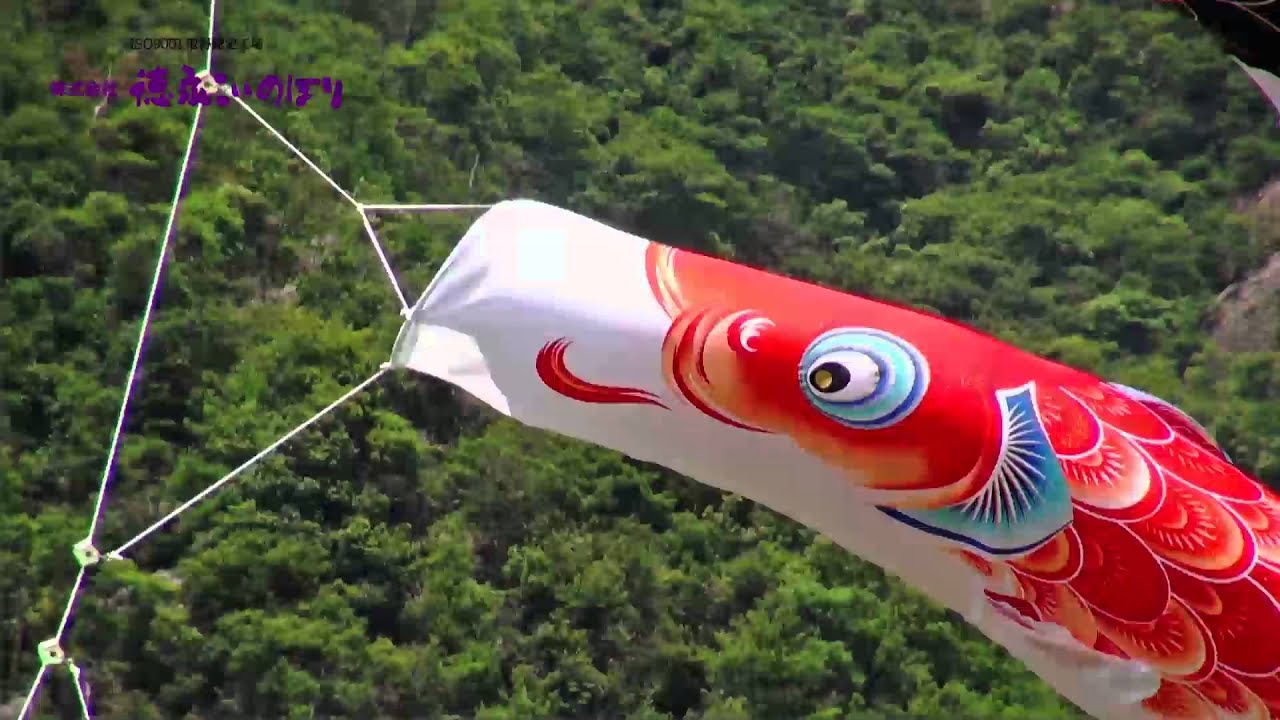 薫風の舞い鯉 風舞い | 株式会社徳永こいのぼり