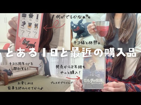 推し活（とある1日）と購入品紹介】家事を終わらせたらキヨ15周年くじ