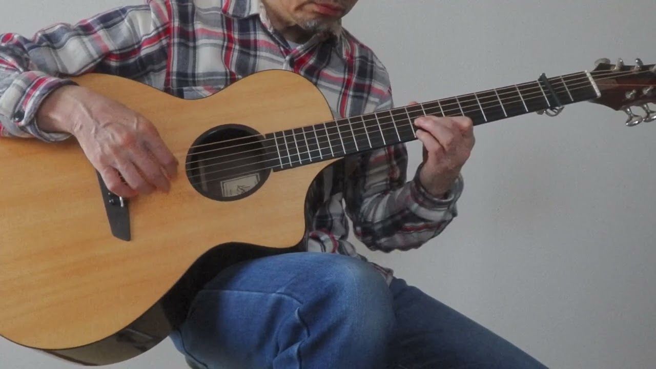 Berg Guitars A5C OTS2.0 ローズウッドモデル オーバートーンシステム