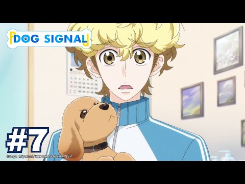 Dog Signal - YouTube