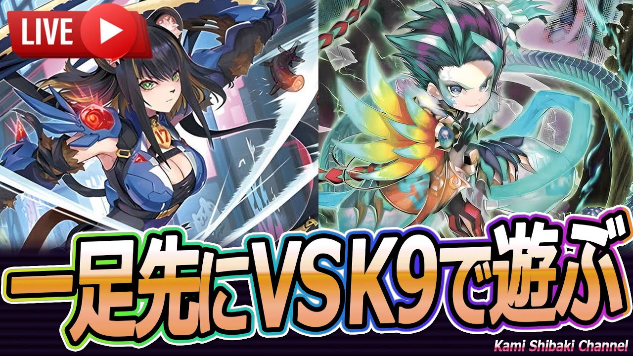 遊戯王 VSK9デッキ ヴァンキッシュソウル 新制限 遊戯王 VSK9デッキ