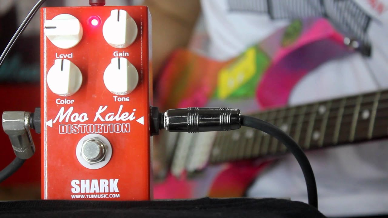 SHARK effect Model Moo Kalei Distortion.mp4 - YouTube