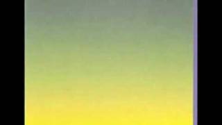 Porter Ricks vs. Techno Animal ‎– Symbiotics – All Night Flight