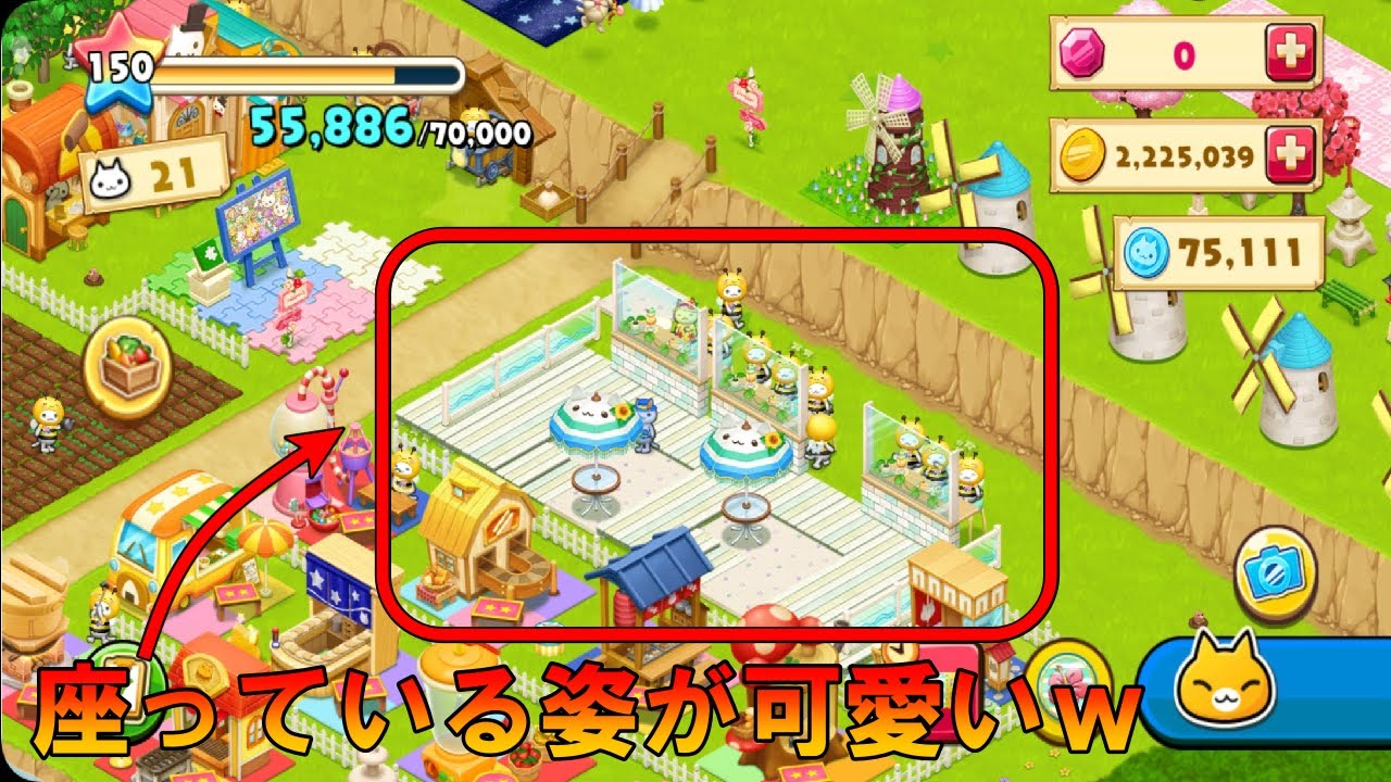 星の島のにゃんこ】2023年！マリンカフェへようこそ！【ほしの島の