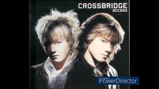 access CROSSBRIDGE 力強いサウンドと声が本当に満足させてくれる