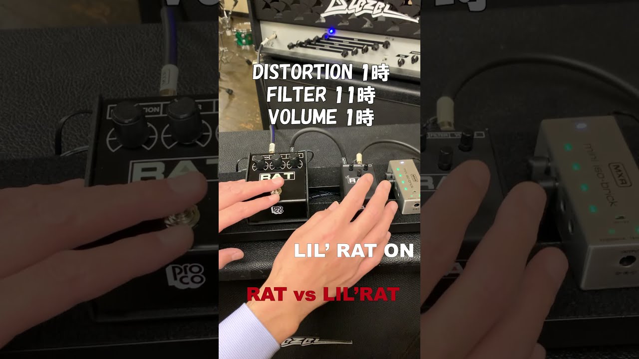 RAT Distortion | RAT2 | モリダイラ楽器