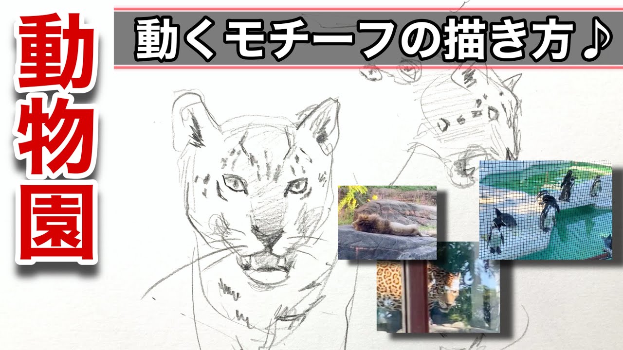 Animal Sketching] Sketch at Tennoji Zoo! Tips and tricks for