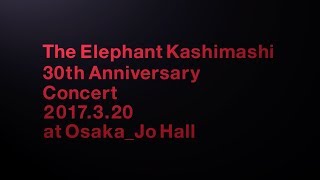 LIVE Blu-ray / DVD「デビュー30周年記念コンサート