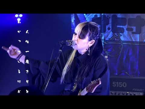 ヒーナキャット - YouTube